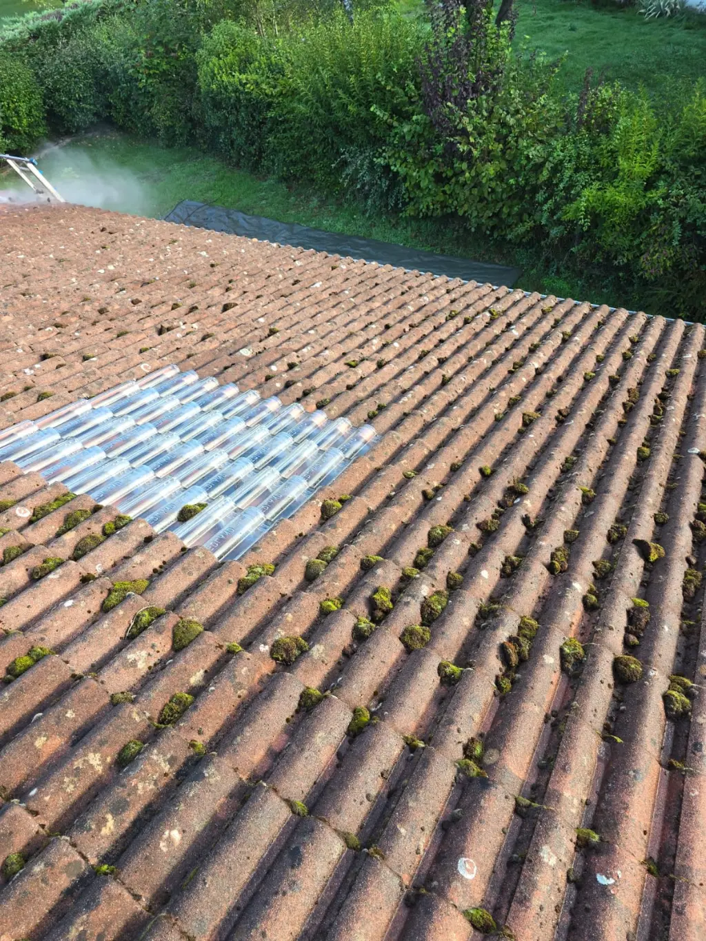 Démoussage de toiture en tuiles en Isère avant intervention